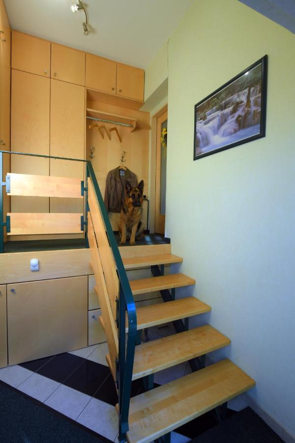 Ferienappartement Regina Schrems  Esterno foto
